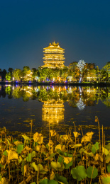 中国四川成都东安湖公园夜景