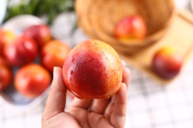 手拿清洗过的新鲜水果油桃