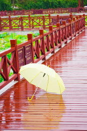  伞一把雨伞