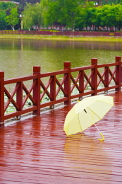  伞一把雨伞