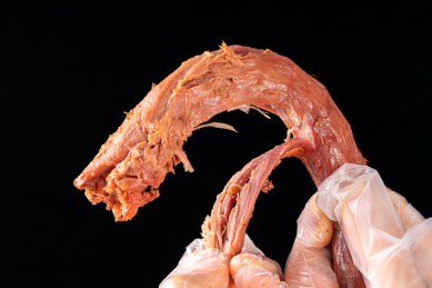 餐盘里的鸭脖子