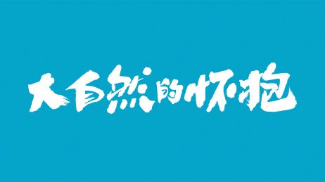 中国书法字体大自然的怀抱