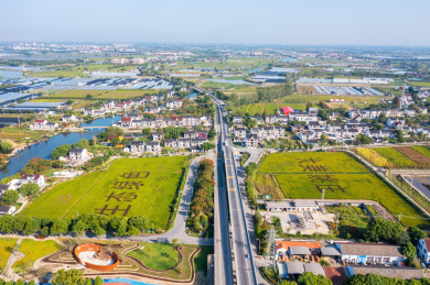 中国浙江省嘉兴市嘉善县姚庄镇横港村