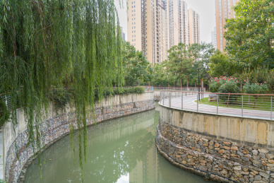 城市内河河道治理后的绿化景观
