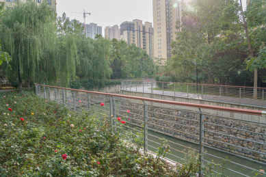 城市内河河道治理后的绿化景观