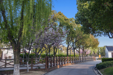 无锡灵山大佛景区园林