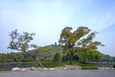 无锡太湖鼋头渚田园风光