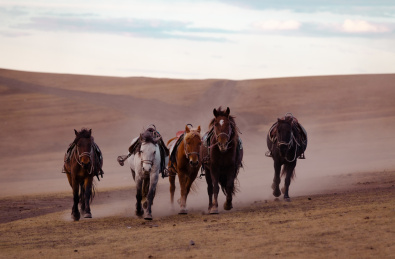 内蒙古呼伦贝尔市额尔古纳黑山头五马奔腾