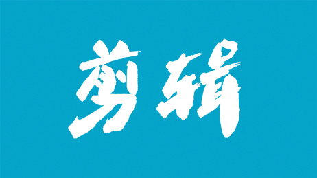 中国书法字体剪辑