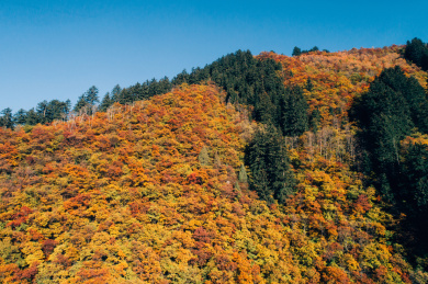 中国甘肃兰州兴隆山