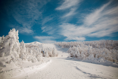 日本山形县藏王山滑雪场的风光