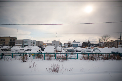日本北海道冬天的风光