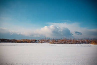 日本北海道冬天的风光