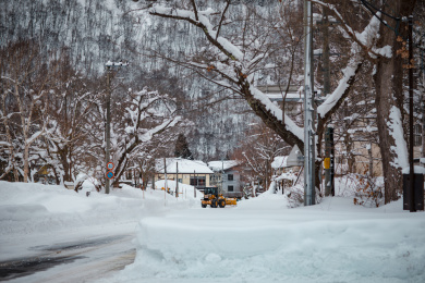 日本北海道的冬季景色