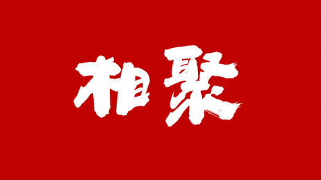 中国书法字体相聚