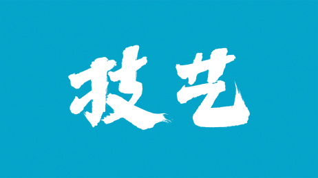 中国书法字体技艺