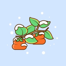秋冬食柿子