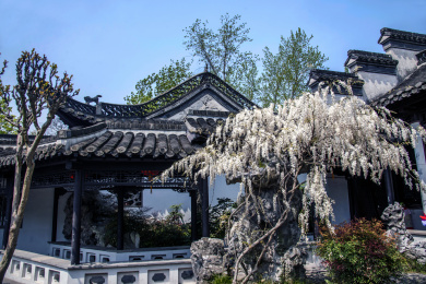 杨州瘦西湖园林建筑