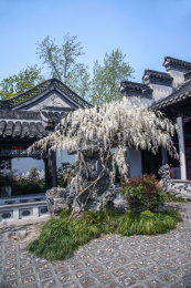 杨州瘦西湖园林建筑