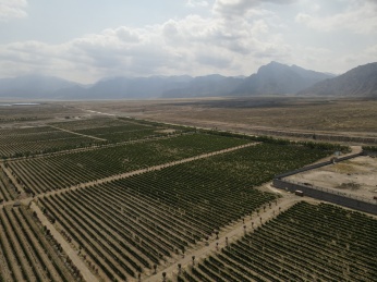 航拍宁夏贺兰山东麓葡萄酒酒庄美贺庄园