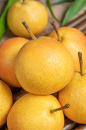 新鲜水果南果梨