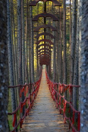 中国陕西省汉中市留坝县情人谷景区吊桥