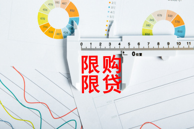 限购限贷概念