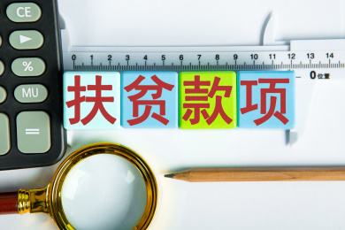 扶贫款项概念