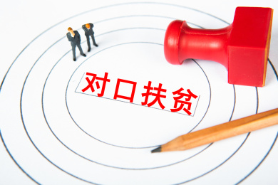 对口扶贫概念