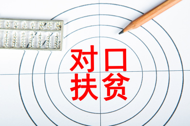 对口扶贫概念