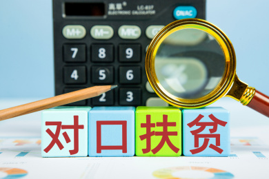 对口扶贫概念
