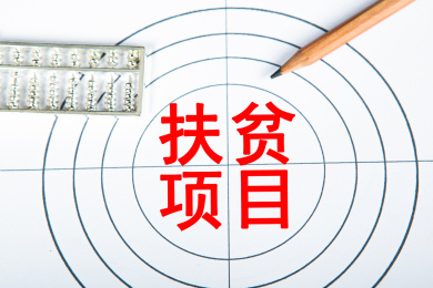 扶贫项目概念