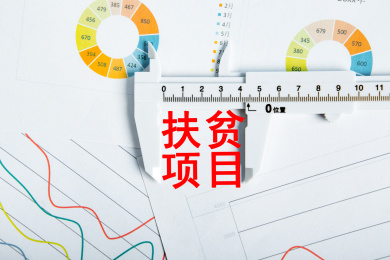 扶贫项目概念