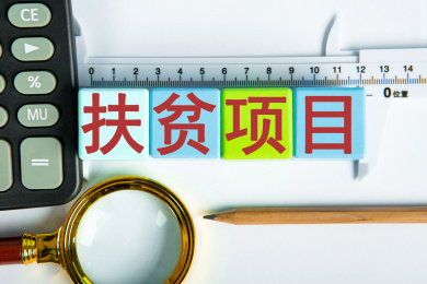 扶贫项目概念