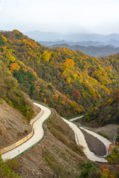 中国陕西省汉中市留坝县秦岭秋色