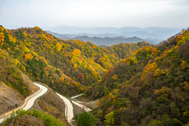 中国陕西省汉中市留坝县秦岭秋色