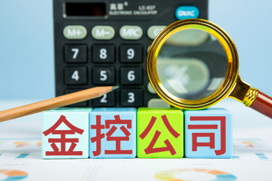 金控公司概念
