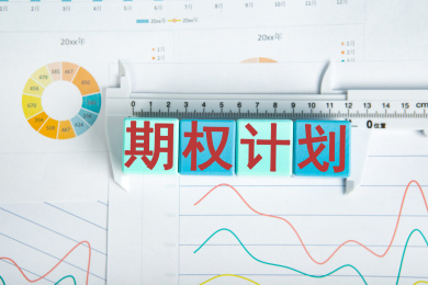 期权计划概念
