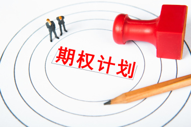 期权计划概念