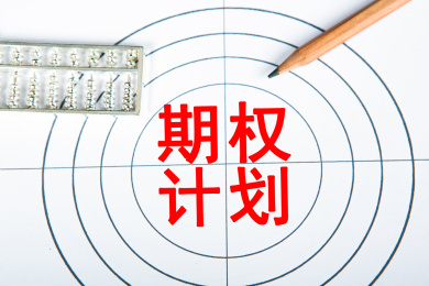 期权计划概念