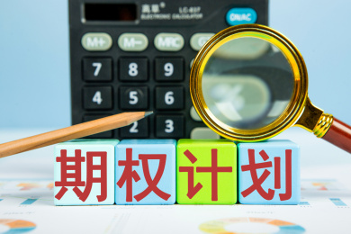 期权计划概念