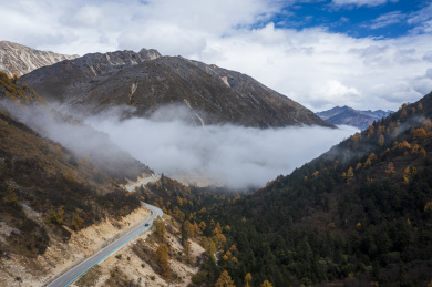 四川省道434旁的秋天和道路尽头的云雾