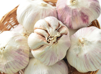 紫皮干大蒜
