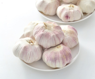 紫皮干大蒜