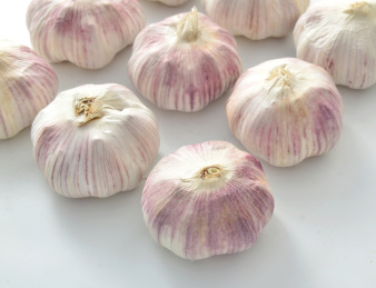 紫皮干大蒜