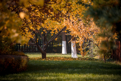 中国北京小区里的秋天景色