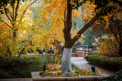 中国北京小区里的秋天景色
