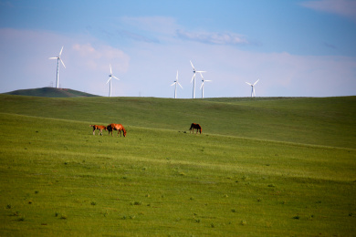 中国河北张北草原的风机