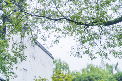 浙江湖州南浔古镇南浔张静江故居风景