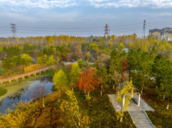 中国江苏淮安古淮河国家湿地公园景色